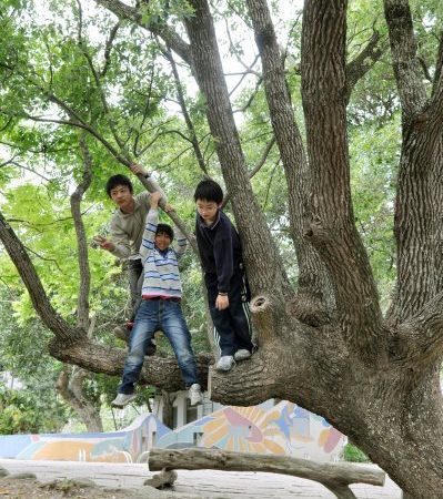 愛．在樹下！「世界地球日」大家一起來