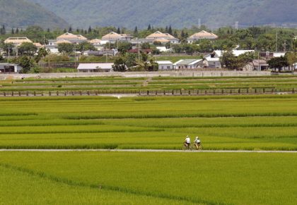 解密／金城武廣告場景　狗狗為什麼不愛這裡？