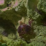深海熱泉生態系和淺海熱泉生態系有什麼不同？