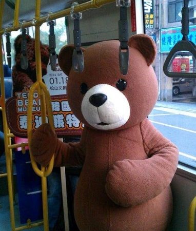 ☆ 週五輕鬆遊：韓國泰迪熊　萌到讓你有錯覺！