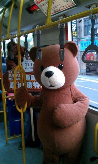 ☆ 週五輕鬆遊：韓國泰迪熊　萌到讓你有錯覺！