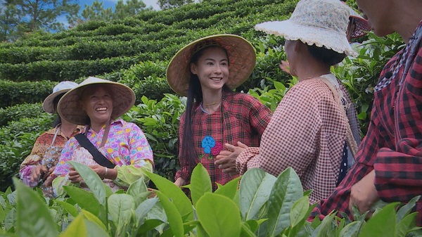 張柏芝採茶高歌　母愛爆發大聊育兒經